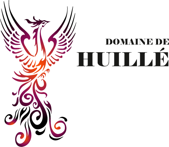 Logo Domaine de Huillé